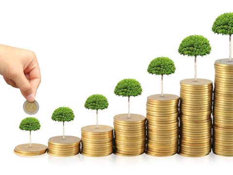 Quy định về vốn điều lệ công ty TNHH